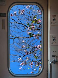 the view from inside an airplane window looking at trees and blue sky with pink flowers