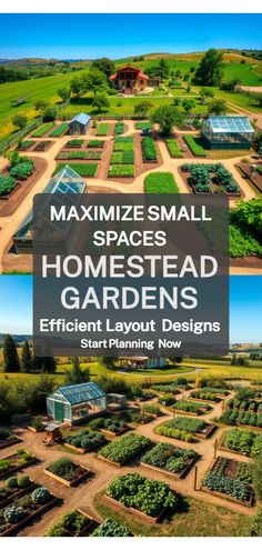 Homestead garden layout Self Sustaining Garden Layout, Small Farm Garden, Small Farm Ideas, Garden Layout Ideas Design, Homestead Garden Layout, Row Gardening, Vegetable Garden Layout Design, Small Garden Layout, Homestead Layout