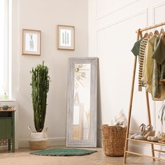 a room with a large mirror, potted plant and other items on the floor