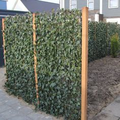 a fence is covered with green plants in front of a house