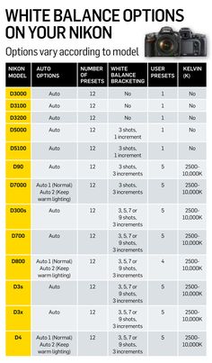 an info sheet showing the different types of cameras and their price ranges for each camera