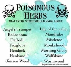 Poisonous Herbs, Witch Herbs, Tree Identification, Witch Stuff, Cheat Codes