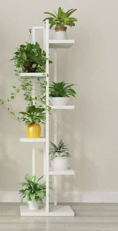 a tall white shelf filled with potted plants on top of a hard wood floor