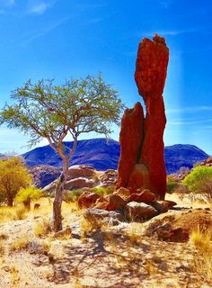 a rock formation in the middle of a desert with trees and mountains in the background