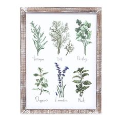 FM17G1055-B1_lifestyle_2.jpg Herb Art, Rustic Country Farmhouse, Primitive Bathrooms, French Country Bathroom, Primitive Homes, Kitchen Herbs, Herbs Spices, Primitive Kitchen, Primitive Decorating Country