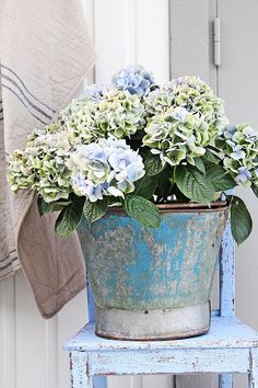 a potted plant sitting on top of a blue chair