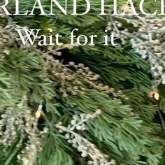 a close up of a christmas tree with the words, grand hack wait for it