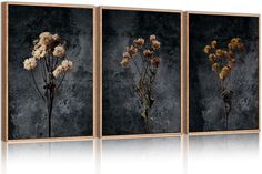 three paintings with flowers in them on a wall