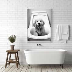 a dog is sitting in the bathtub with its mouth open