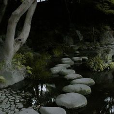 stepping stones in the water at night with trees and bushes around it, along side a path that leads to a bridge