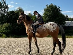 a man riding on the back of a brown horse