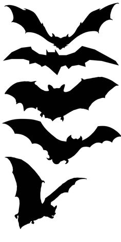 six bats flying in the air