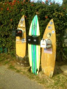 three surfboards are lined up next to each other in front of bushes and flowers