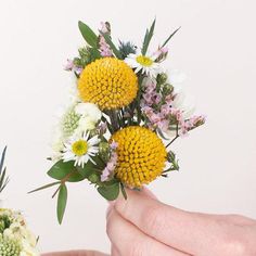 a person holding flowers in their hand with white and yellow flowers on the other side