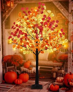 a lighted tree in the middle of a room filled with pumpkins