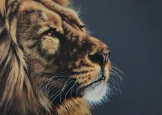 a painting of a lion's face on a black background