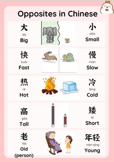 an english worksheet with the words opposites in chinese