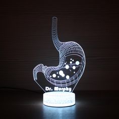 a lamp that is shaped to look like a stomach with the words dr murphy on it