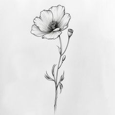 Poppy Stencil Tattoo Kit Poppy Flower Wrap Tattoo, Remembrance Day Tattoos, Single Poppy Tattoo, Lily Of The Valley And Poppy Tattoo, Black And White Poppy Tattoo, Poppy Line Tattoo, Cosmos Flower Tattoo October, Sunflower And Poppy Tattoo, Poppy Tattoo Black And White