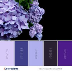 the color palette is purple and has lilac flowers on it, with green leaves