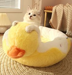 a white cat sitting on top of a yellow duck shaped bed