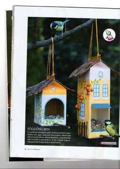 two bird houses hanging from a tree branch