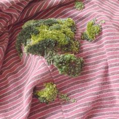 broccoli florets on a pink and white stripped cloth with green spots