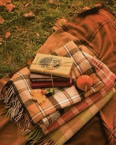 a blanket and some books on top of each other in the grass with leaves around them