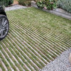 a black car parked on top of a green grass covered field next to a garden