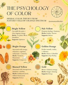 ANIMA MUNDI HERBALS (@animamundiherbals) • Instagram photos and videos Sociology Class, Psychology Of Color, Color Therapy Healing, Rosemary Gladstar, Magic Ritual, Scrapbook Photos, Therapy Healing, Art Planner, Colour Psychology