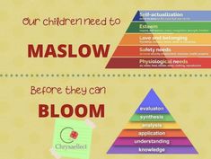 three pyramids with the words maslow before they can bloom in different colors and sizes