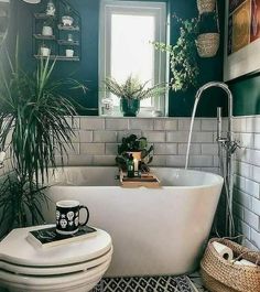 a white bath tub sitting next to a toilet under a bathroom window filled with plants