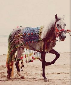 a horse that is standing in the sand with some beads on it's back