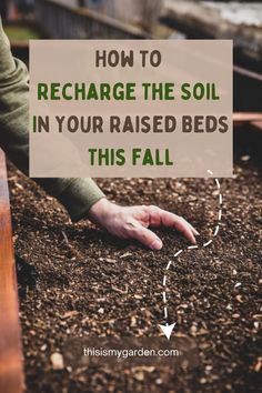 A person's hand is touching the top of the soil that is in a raised bed. From thisismygarden.com. Vegetable Garden Diy, Diy Raised Garden, Backyard Vegetable Gardens, Raised Garden Beds Diy, Garden Compost, Garden Veggies, Magic Garden, Garden Help