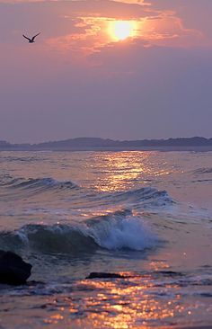 a bird flying over the ocean at sunset