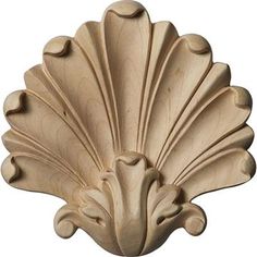 an intricately carved scallop is shown against a white background