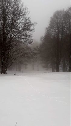 a snow covered field with trees in the background on a foggy winter day,