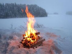 a fire in the middle of a snowy field