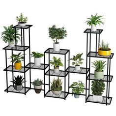 an assortment of potted plants are arranged on black metal shelvings with yellow and white planters