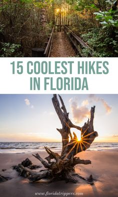 the best hikes in florida with text overlay that reads, 15 coolest hikes in florida