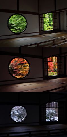 three circular windows with trees in them