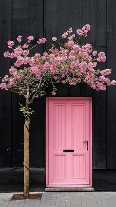 a pink door and tree in front of a black wall