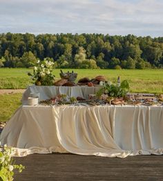 an outdoor table with food on it in the middle of a field