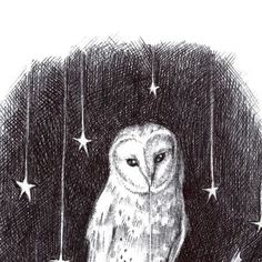 an owl sitting on top of a tree branch with stars hanging from it's branches