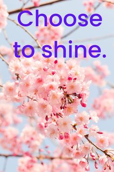 the words choose to shine are in front of pink flowers on a branch with blue sky