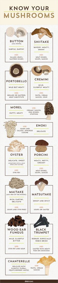 an info sheet showing the different types of mushrooms and how they are used to cook them