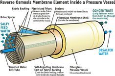 a diagram showing the components of a membrane