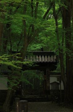 a small building in the middle of a forest with lots of green trees around it