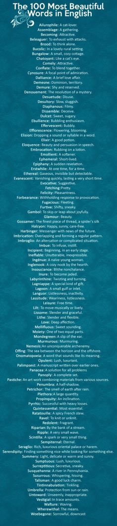 an image of a blue poster with words on it that are all in different languages