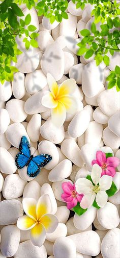 some white rocks with flowers and a blue butterfly